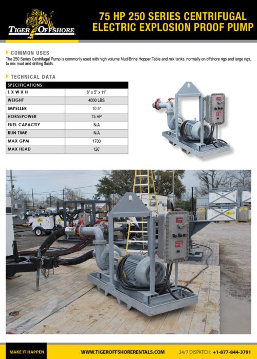75_HP_250_Series_Centrifugal_Electric_Explosion_Proof_Pump-791x1024